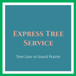 Express Tree Service Logo