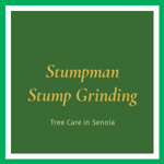 Stumpman Stump Grinding Logo