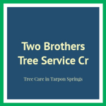 Two Brothers Tree Service Cr Logo