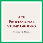 Ace Professional Stump Grndng Logo