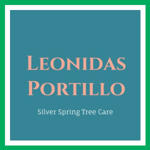 Leonidas Portillo Logo