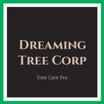 Dreaming Tree Corp Logo