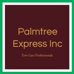 Palmtree Express Inc Logo