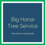 Big Horse Tree Service Logo