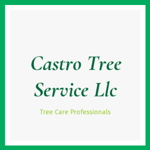 Castro Tree Service Llc Logo