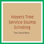 Hoyers Tree Service Stump Grinding Logo