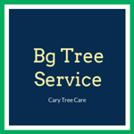 Bg Tree Service Logo