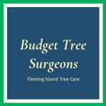 Budget Tree Surgeons Logo