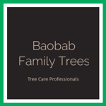 Baobab Family Trees Logo
