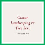 Ceasar Landscaping &amp; Tree Serv Logo