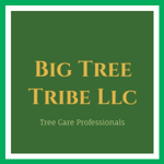 Big Tree Tribe Llc Logo