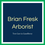 Brian Fresk Arborist Logo