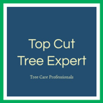 Top Cut Tree Expert Logo
