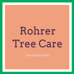 Rohrer Tree Care Logo