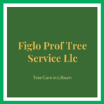 Figlo Prof Tree Service Llc Logo