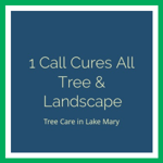 1 Call Cures All Tree &amp; Landscape Logo