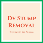 Dv Stump Removal Logo