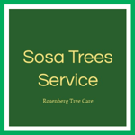 Sosa Trees Service Logo