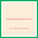 Treesofnewbraunfelscom Logo