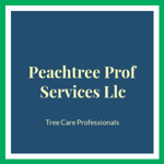 Peachtree Prof Services Llc Logo