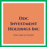 Ddc Investment Holdings Inc Logo