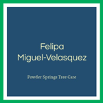 Felipa Miguel-Velasquez Logo