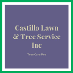 Castillo Lawn &amp; Tree Service Inc Logo