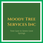Moody Tree Services Inc Logo