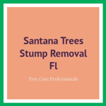 Santana Trees Stump Removal Fl Logo