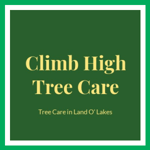 Climb High Tree Care Logo