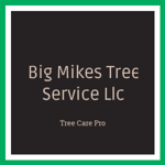 Big Mikes Tree Service Llc Logo