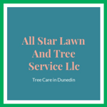 All Star Lawn And Tree Service Llc Logo