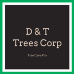 D &amp; T Trees Corp Logo