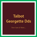 Talbot Georgette Dds Logo