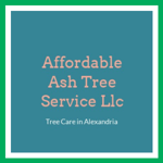 Affordable Ash Tree Service Llc Logo