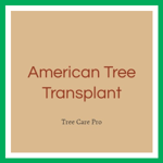American Tree Transplant Logo