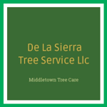 De La Sierra Tree Service Llc Logo