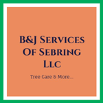 B&J Services Of Sebring Llc Logo