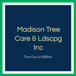 Madison Tree Care &amp; Ldscpg Inc Logo