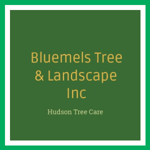 Bluemels Tree &amp; Landscape Inc Logo