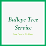 Bulleye Tree Service Logo