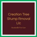 Creation Tree Stump Rmoval Llc Logo