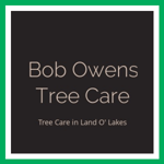 Bob Owens Tree Care Logo
