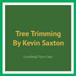Tree Trimming By Kevin Saxton Logo