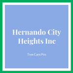 Hernando City Heights Inc Logo