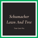 Schumacher Lawn And Tree Logo