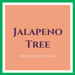 Jalapeno Tree Logo