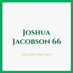 Joshua Jacobson 66 Logo