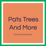 Pats Trees And More Logo