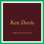 Ken Davis Logo